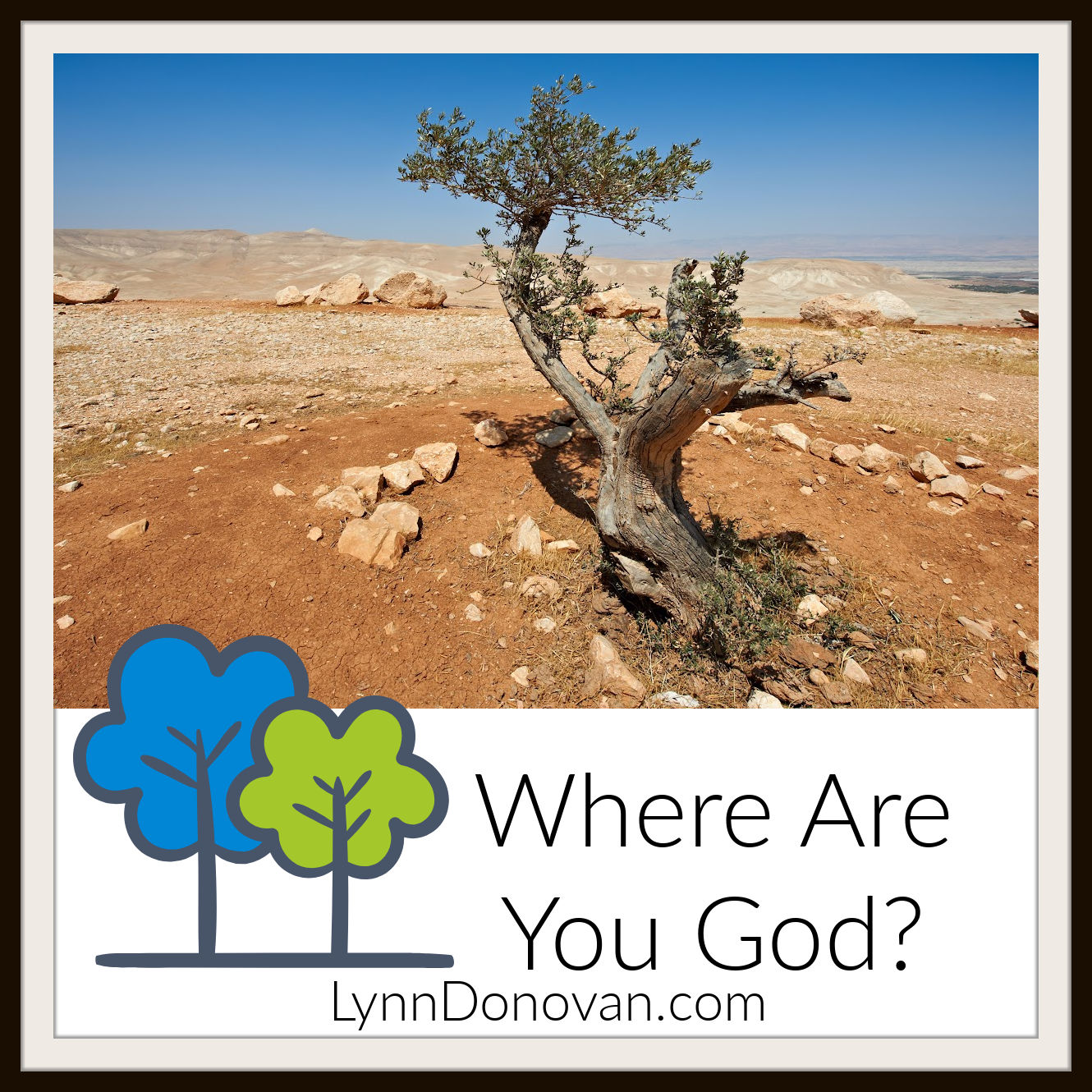 A Dry Season Sets the Stage